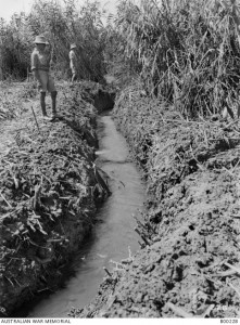 Figure 6: Sanitary Section eliminating mosquito habitat by draining areas in the Jordan Valley circa 1918; Australian War Memorial photo B00228