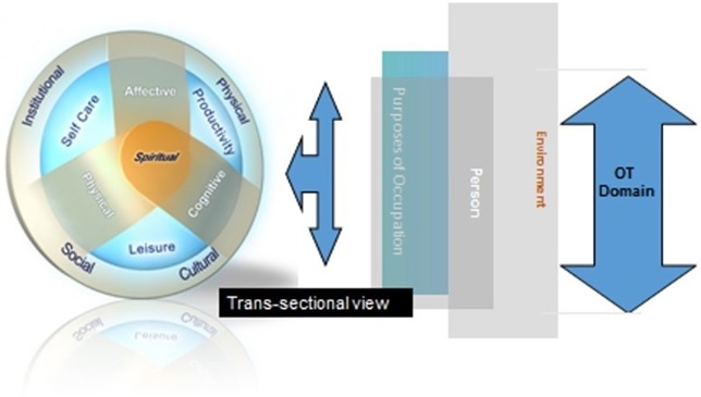 Canadian Model of Occupational Performance (CMOP-E). Published